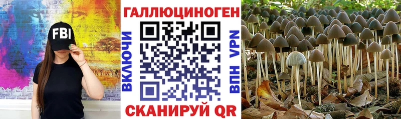 Купить где  Можайск  Галлюциногенные грибы мухоморы 